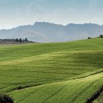 ecobeef-home-bottom-parallax