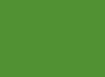 ecobeef-home-greenbg2