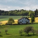 ecobeef-home-slider-2