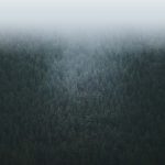 ecobeef-ourfarm-headerbg