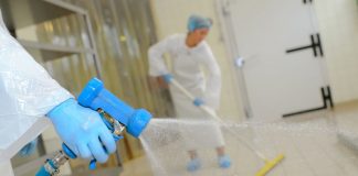 Ditta Disinfestazioni Ditta Disinfestazioni