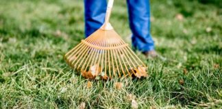 Manutenzione giardini per aziende Roma Manutenzione giardini per aziende Roma