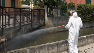Disinfestare blatte a Roma